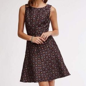 NEW Eva Franco Haven A-Line Dress